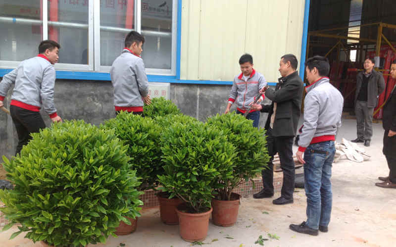 植樹(shù)活動(dòng)