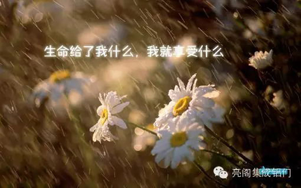 亮閣門(mén)窗,生命給了我什么，我就享受什么