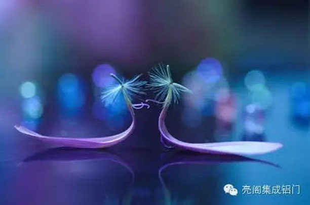 鋁合金門(mén)窗十大品牌,鋁門(mén)窗十大品牌,鋁合金門(mén)窗代理,鋁門(mén)窗廠(chǎng)家2