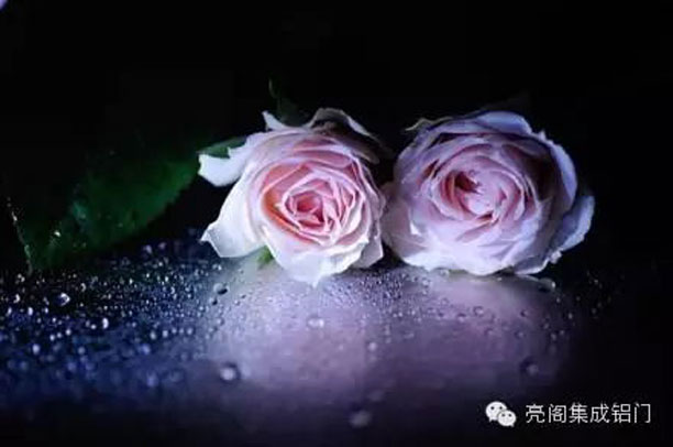 鋁合金門(mén)窗十大品牌,鋁門(mén)窗十大品牌,鋁合金門(mén)窗代理,鋁門(mén)窗廠(chǎng)家3