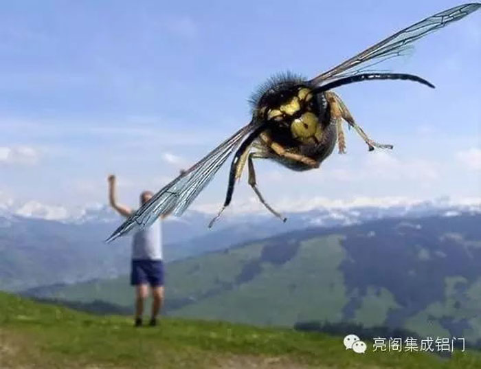 鋁門(mén)窗廠(chǎng)家,鋁合金門(mén)窗十大品牌,鋁合金門(mén)窗代理2