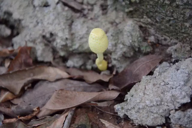 亮閣門(mén)窗|青春不朽，勇攀高峰；不登將軍亭，枉游北嶺山。